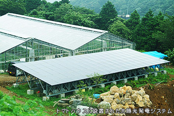 トマトハウスに設置された太陽光発電システム